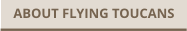 ABOUT FLYING TOUCANS